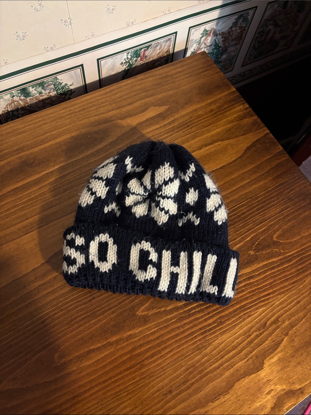 Aerie Navy & White Knit Beanie - SO CHILLY
